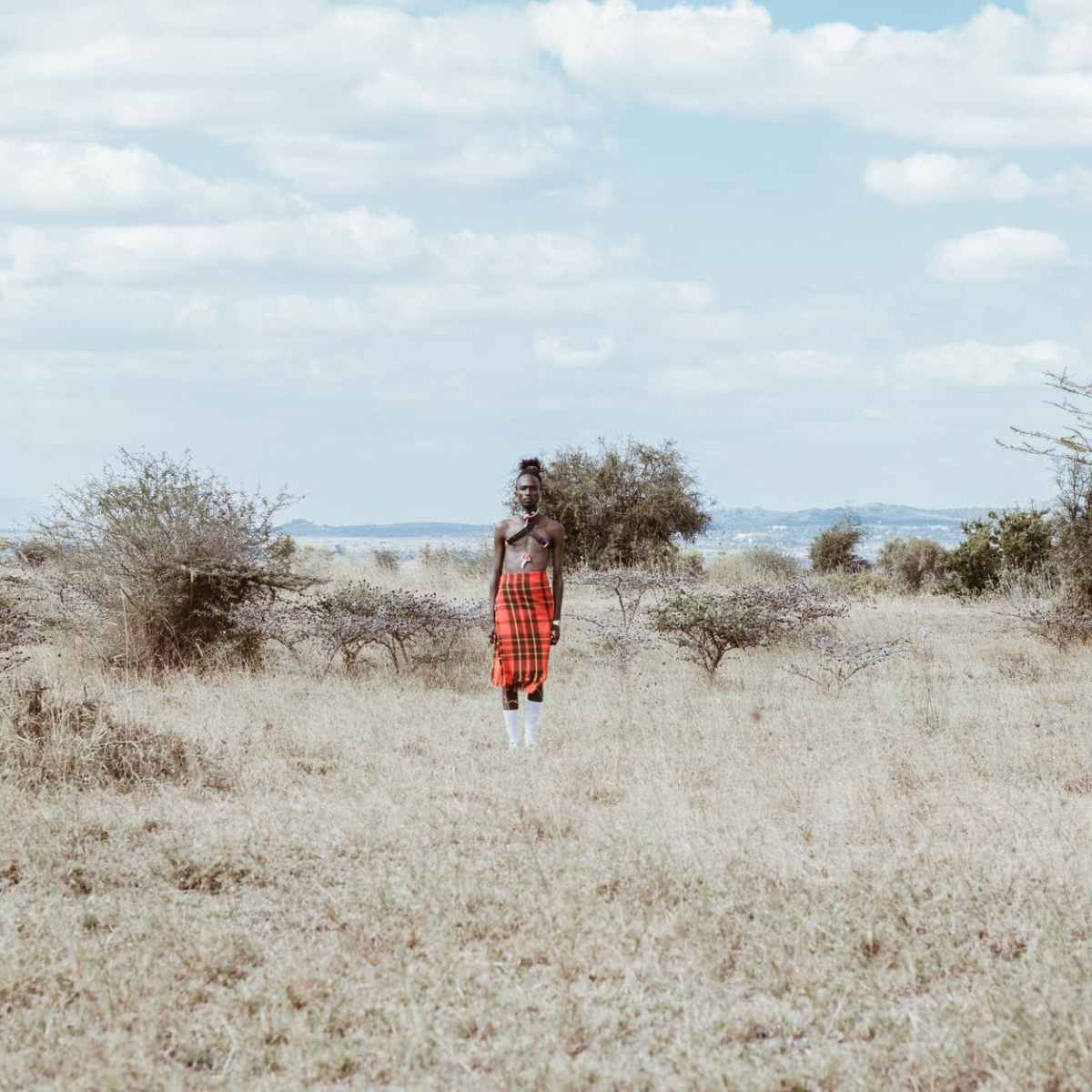 Africa Explorer